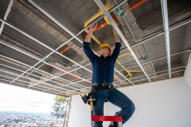 Best Affordable Plumbing Services  in Emmitsburg, MD